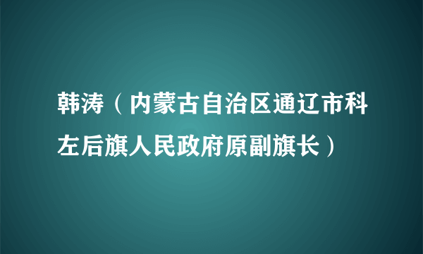 韩涛（内蒙古自治区通辽市科左后旗人民政府原副旗长）