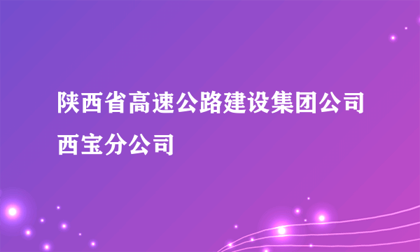 陕西省高速公路建设集团公司西宝分公司