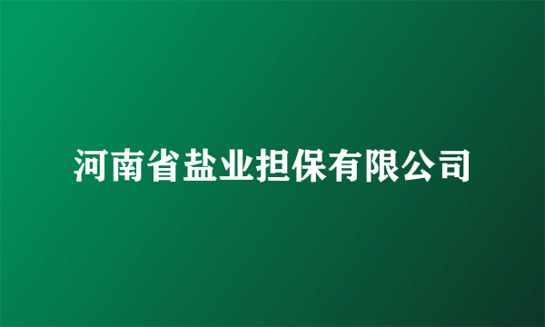 河南省盐业担保有限公司