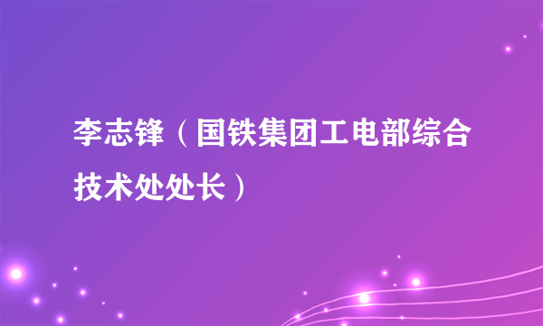 李志锋（国铁集团工电部综合技术处处长）