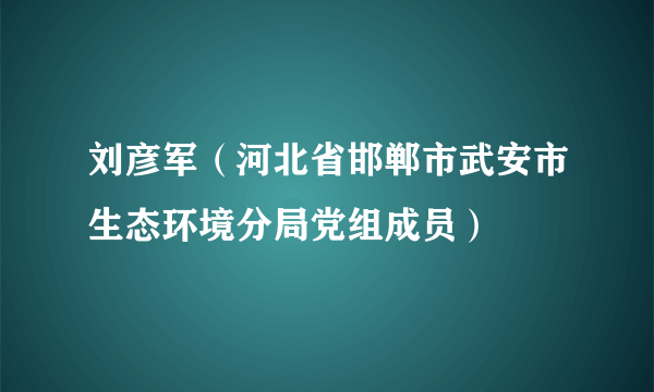 刘彦军（河北省邯郸市武安市生态环境分局党组成员）