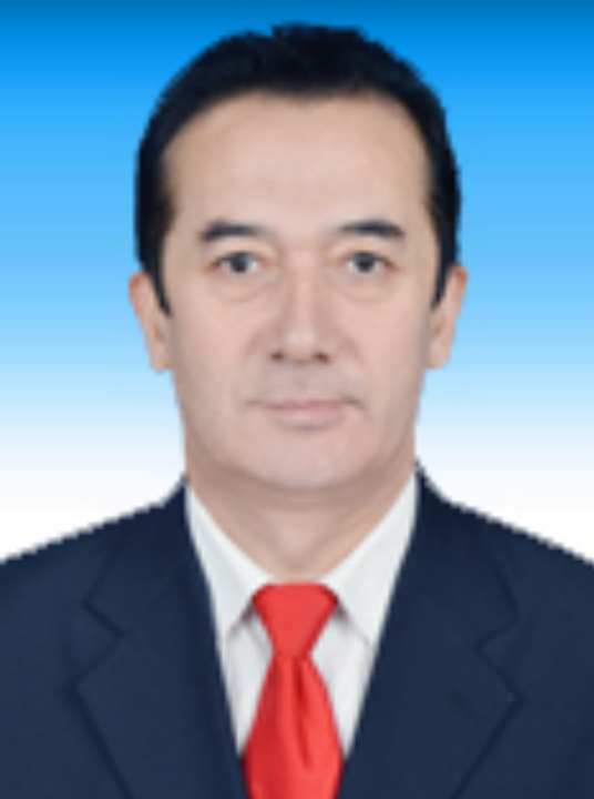 阿布都沙拉木·麦木提明（新疆阿克苏地区行署副秘书长）