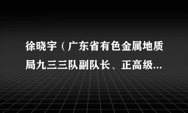 徐晓宇（广东省有色金属地质局九三三队副队长、正高级工程师）