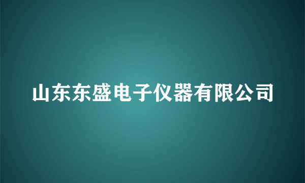 山东东盛电子仪器有限公司