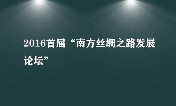 2016首届“南方丝绸之路发展论坛”