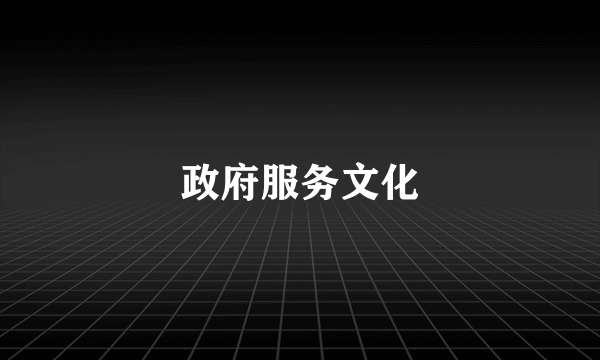 政府服务文化