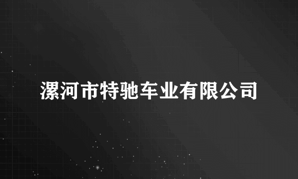 漯河市特驰车业有限公司