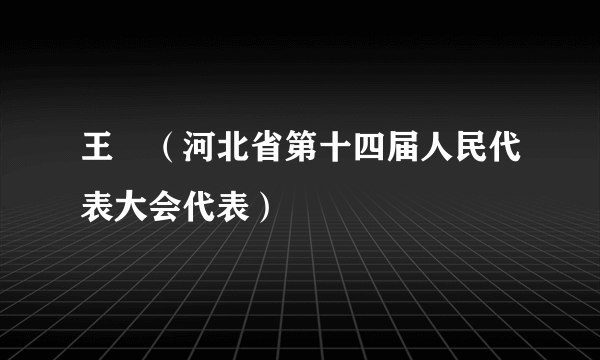 王珺（河北省第十四届人民代表大会代表）