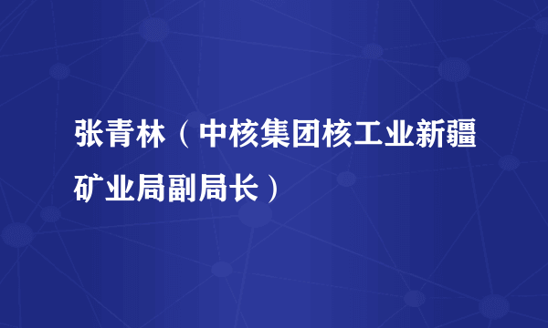 张青林（中核集团核工业新疆矿业局副局长）