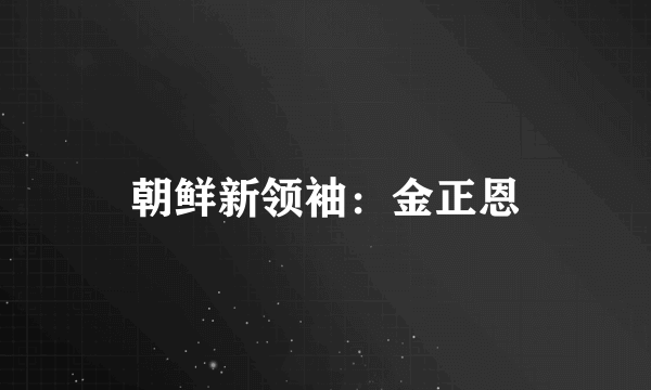 朝鲜新领袖：金正恩