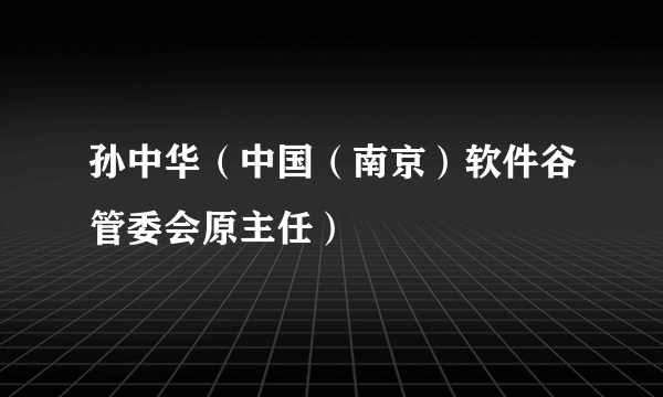 孙中华（中国（南京）软件谷管委会原主任）