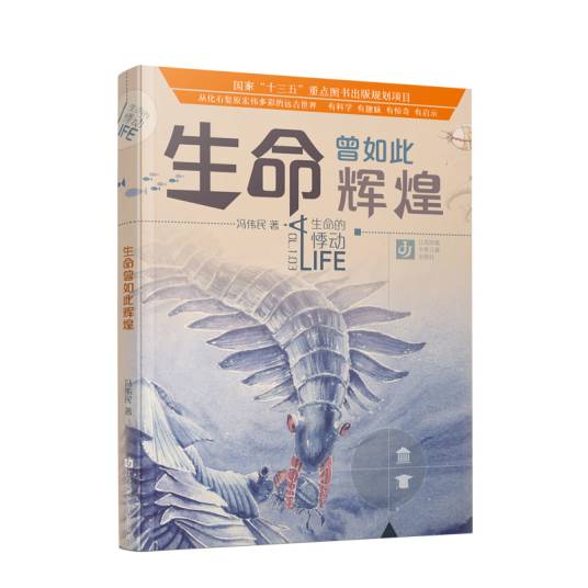 生命曾如此辉煌