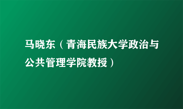 马晓东（青海民族大学政治与公共管理学院教授）