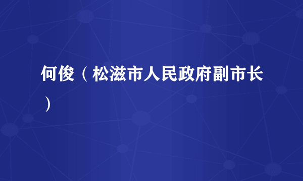 何俊（松滋市人民政府副市长）