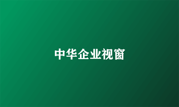 中华企业视窗