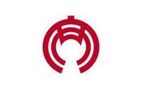 安城市（日本安城市）