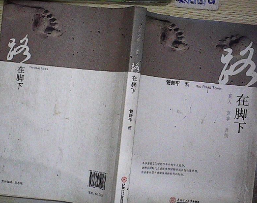 路在脚下（2016年华南理工大学出版社出版的图书）