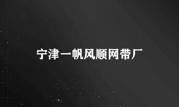 宁津一帆风顺网带厂