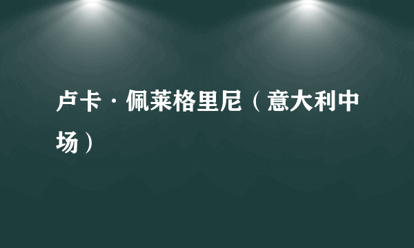 卢卡·佩莱格里尼（意大利中场）