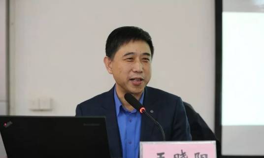 王晓阳（复旦大学计算机学院与软件学院院长）