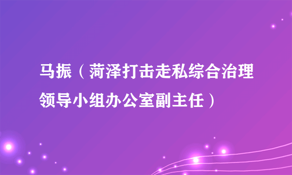 马振（菏泽打击走私综合治理领导小组办公室副主任）