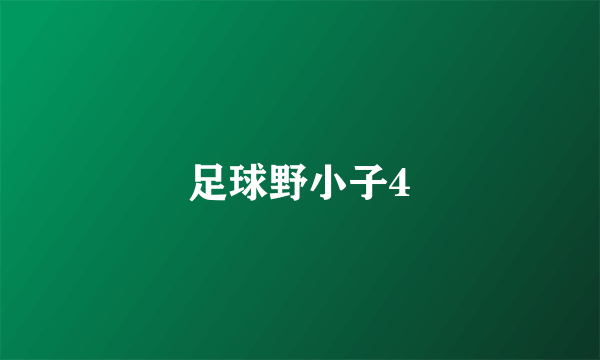 足球野小子4