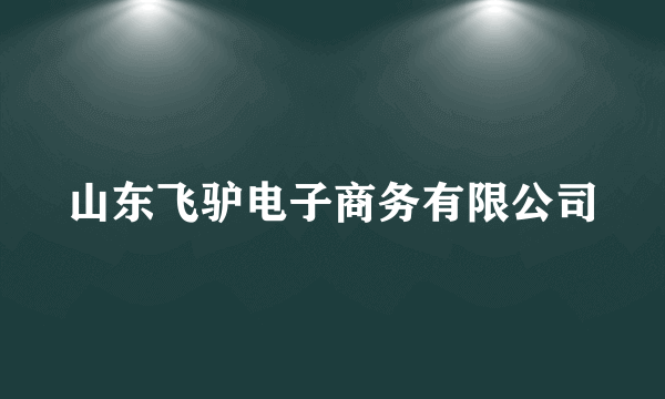 山东飞驴电子商务有限公司