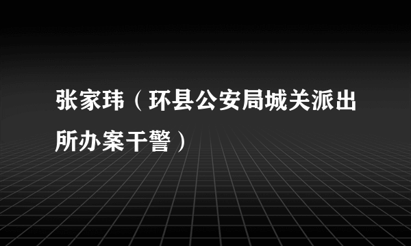 张家玮（环县公安局城关派出所办案干警）