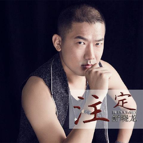 注定（舒晓龙演唱歌曲）