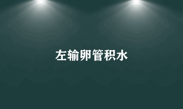 左输卵管积水
