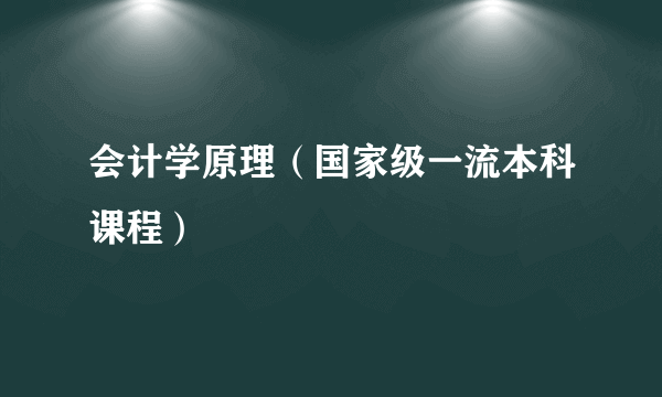会计学原理（国家级一流本科课程）