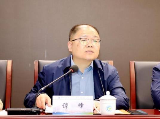 谭峰（铜川市人民医院副院长）