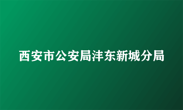 西安市公安局沣东新城分局