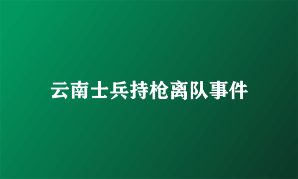 云南士兵持枪离队事件