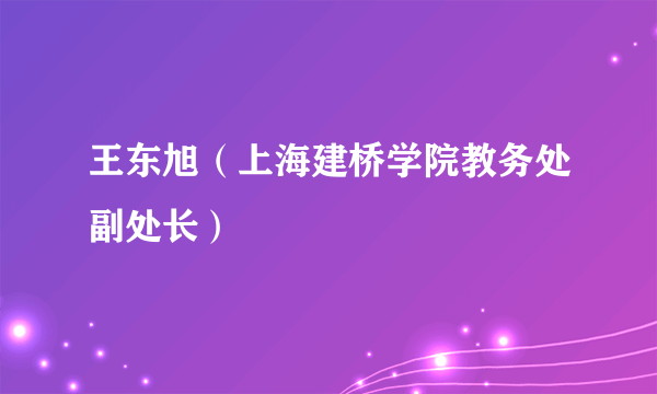 王东旭（上海建桥学院教务处副处长）