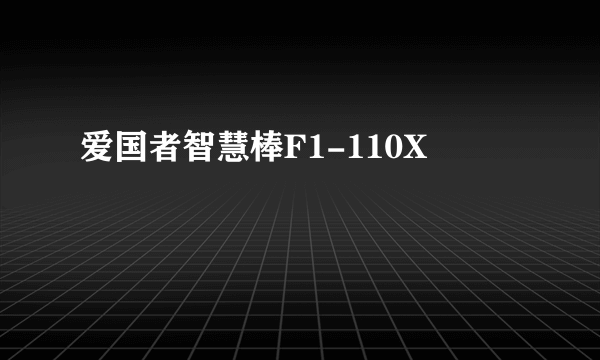 爱国者智慧棒F1-110X