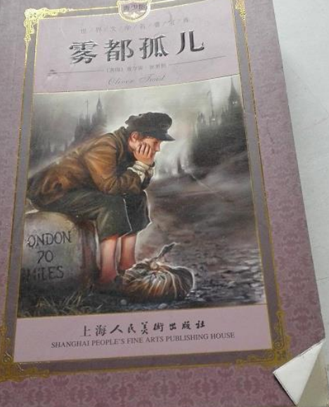 雾都孤儿（2007年上海人民美术出版社出版的图书）