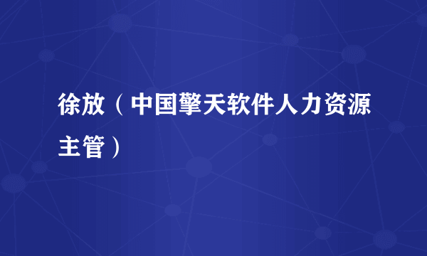 徐放（中国擎天软件人力资源主管）