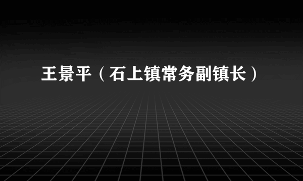 王景平（石上镇常务副镇长）