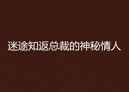 迷途知返总裁的神秘情人