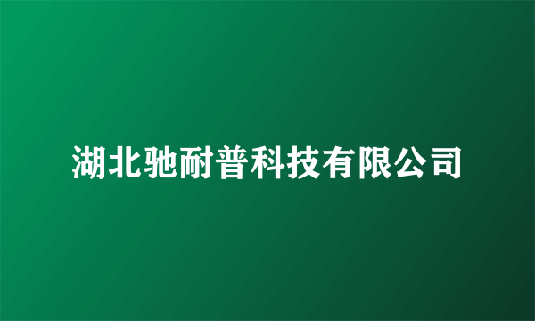 湖北驰耐普科技有限公司