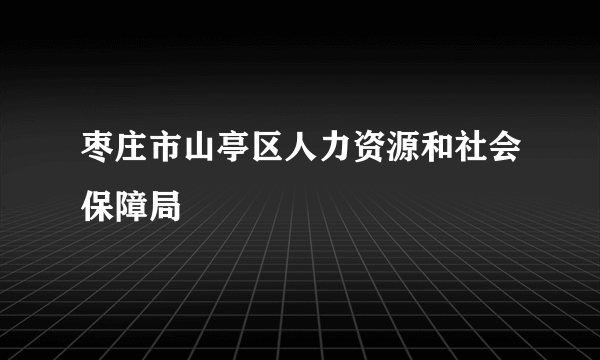 枣庄市山亭区人力资源和社会保障局