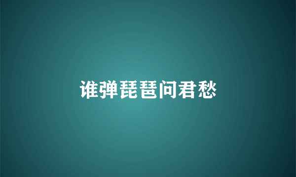 谁弹琵琶问君愁