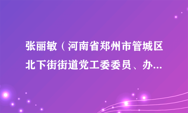 张丽敏（河南省郑州市管城区北下街街道党工委委员、办事处副主任）