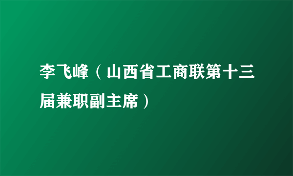 李飞峰（山西省工商联第十三届兼职副主席）
