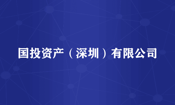 国投资产（深圳）有限公司