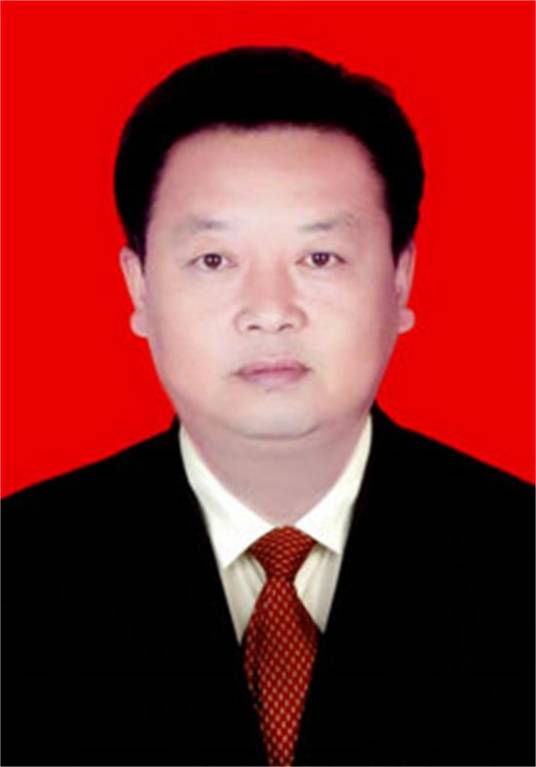 高学东(山西省大同市天镇县人民政府党组成员、副县长)