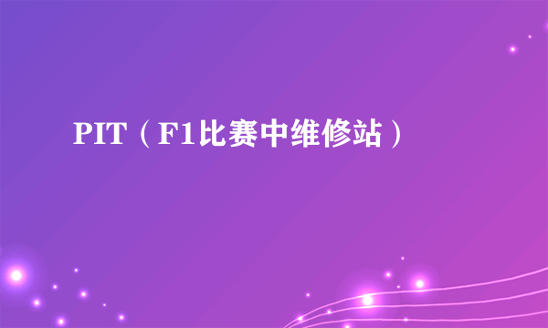 PIT（F1比赛中维修站）