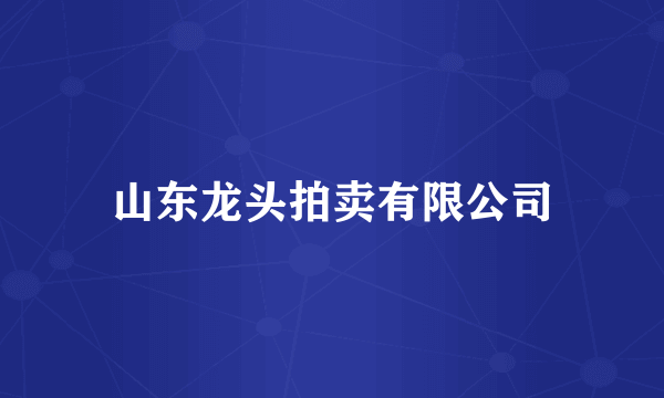 山东龙头拍卖有限公司