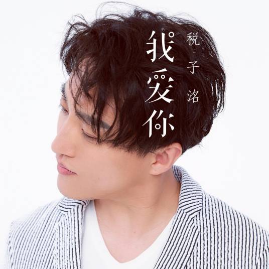 我爱你（税子洺演唱歌曲）
